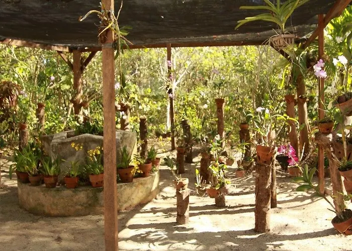 Bantayan Island Nature Park And * Tamiao