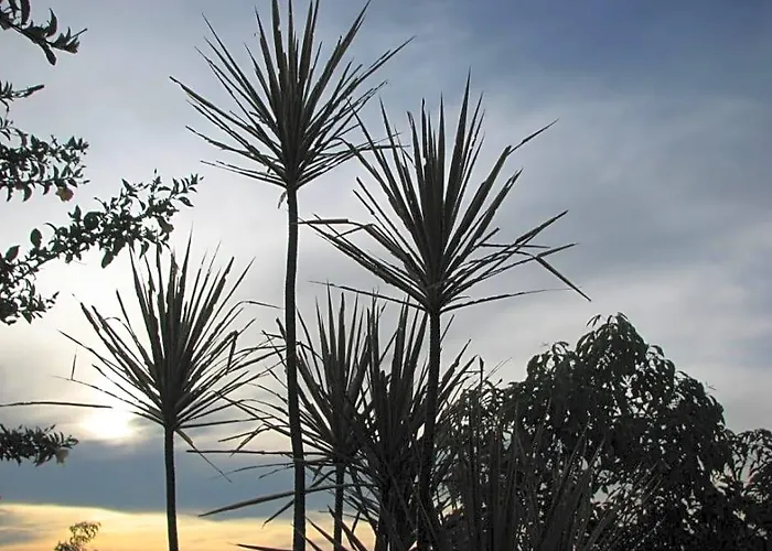 Bantayan Island Nature Park And Tamiao