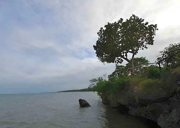 Bantayan Island Nature Park And