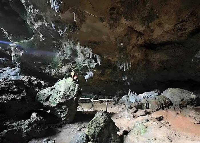Bantayan Island Nature Park And Tamiao